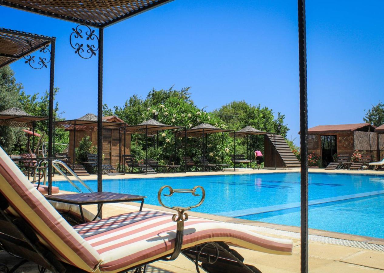 Lapida Garden Bed & Breakfast Lapithos (Northern Cyprus)