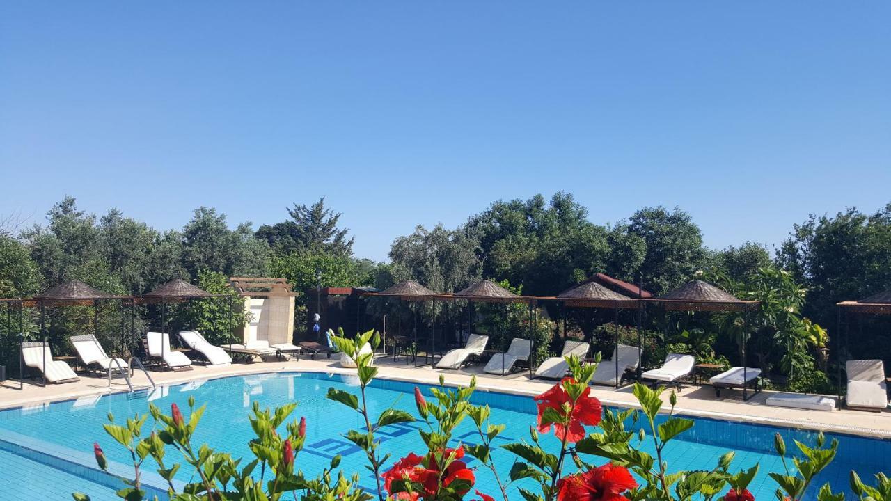 Lapida Garden * Lapithos (Northern Cyprus)