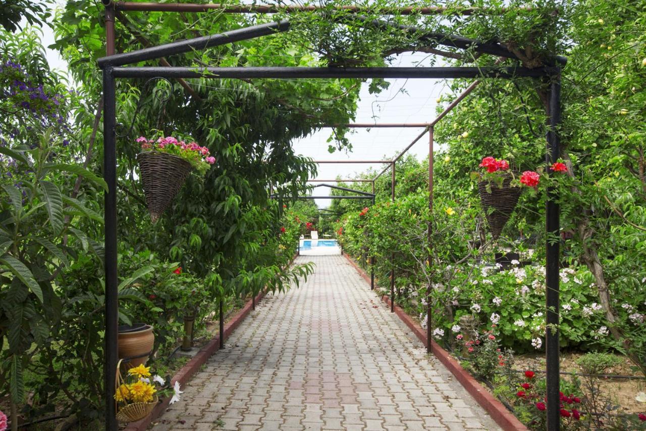 Lapida Garden *